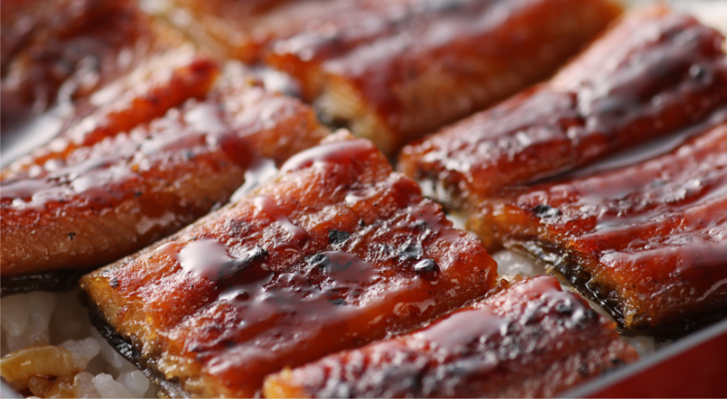 うなぎイメージ