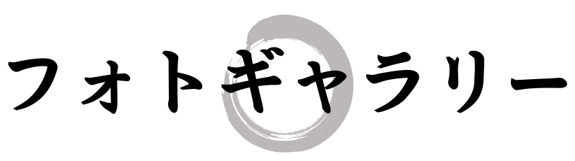 フォトギャラリー