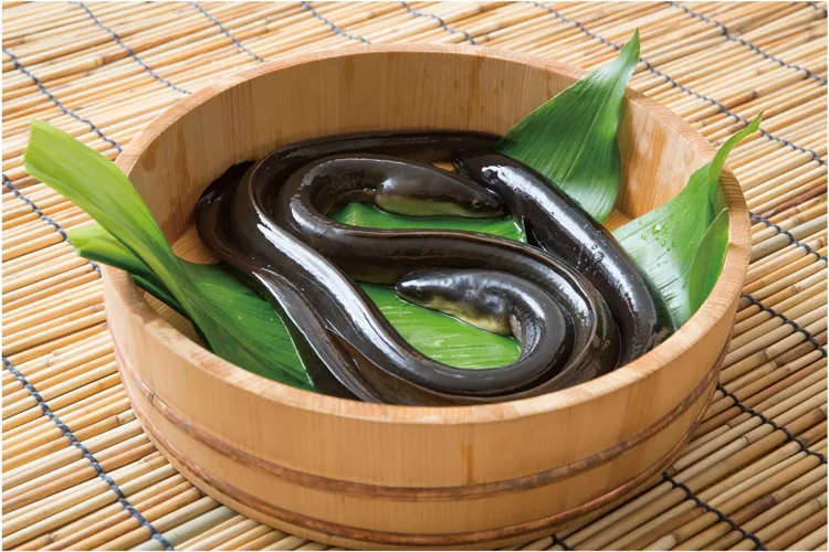うなぎ